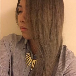 Meet your Posher, Dung